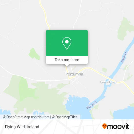 Flying Wild map