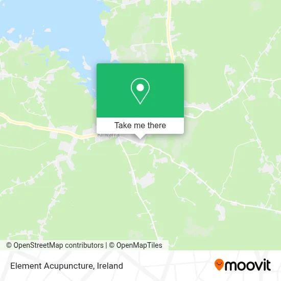 Element Acupuncture map