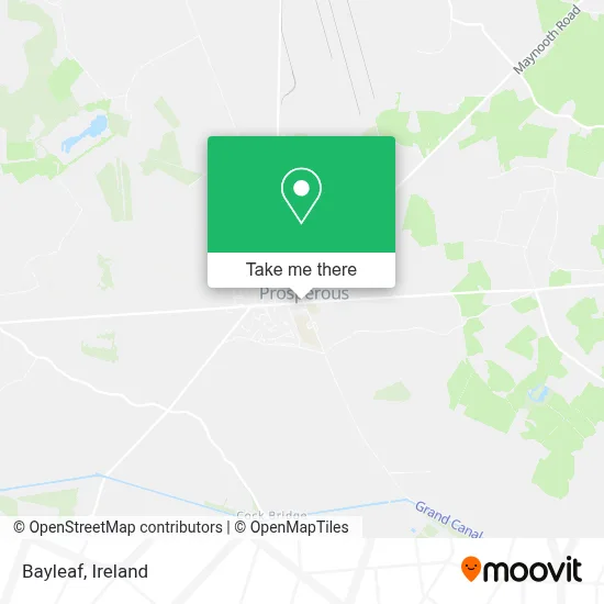 Bayleaf map
