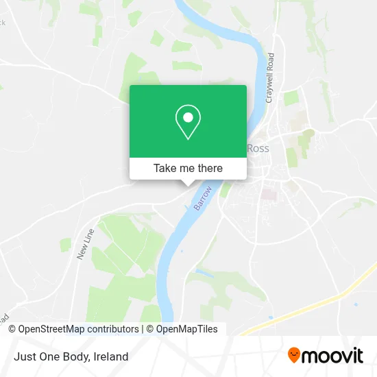 Just One Body map