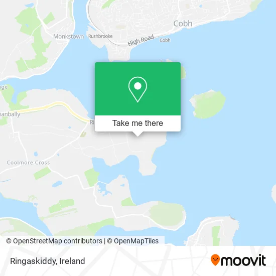 Ringaskiddy map