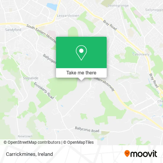 Carrickmines map