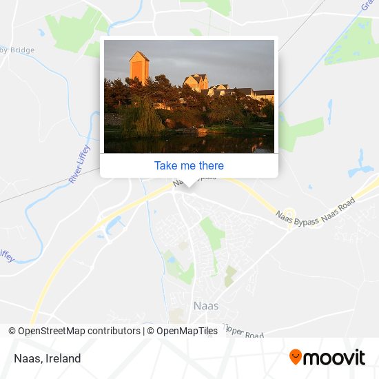 Naas map