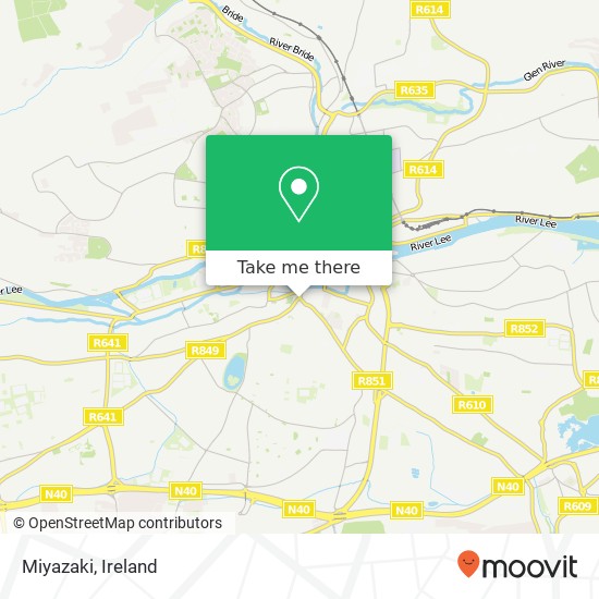 Miyazaki, 1a Evergreen Street Cork map