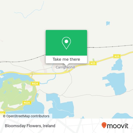 Bloomsday Flowers, Main Street Carrigtwohill plan