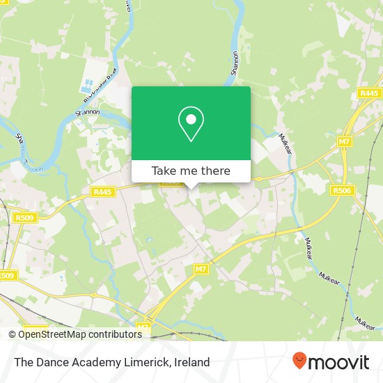 The Dance Academy Limerick, Limerick plan