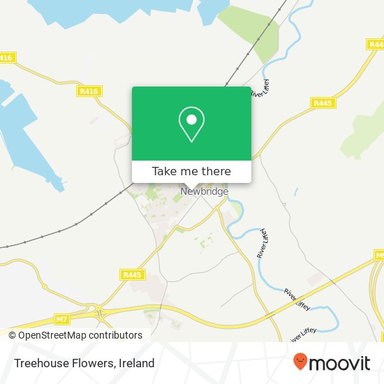 Treehouse Flowers, Henry Street Newbridge map