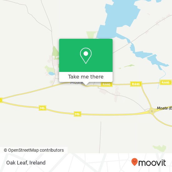 Oak Leaf, Main Street Moate, County Westmeath map