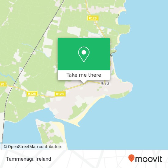 Tammenagi, Whitestown Road Rush, County Dublin map