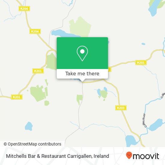 Mitchells Bar & Restaurant Carrigallen, Longford Road Aghawillin (Gortermone) plan