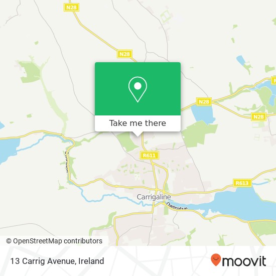 13 Carrig Avenue map
