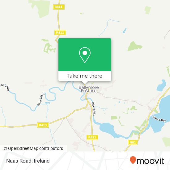 Naas Road map