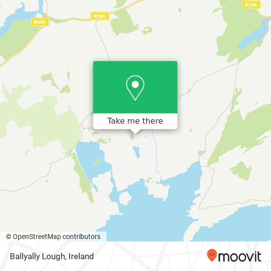 Ballyally Lough map