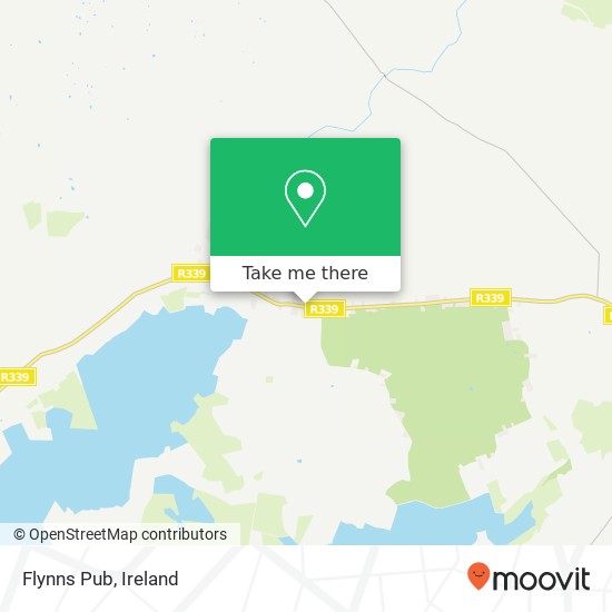 Flynns Pub plan