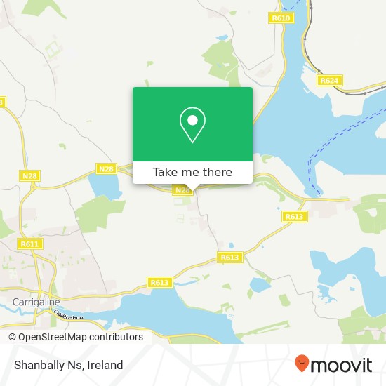 Shanbally Ns map