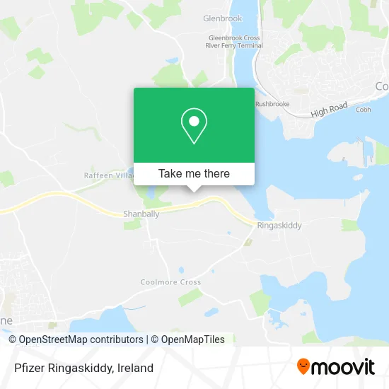 Pfizer Ringaskiddy map