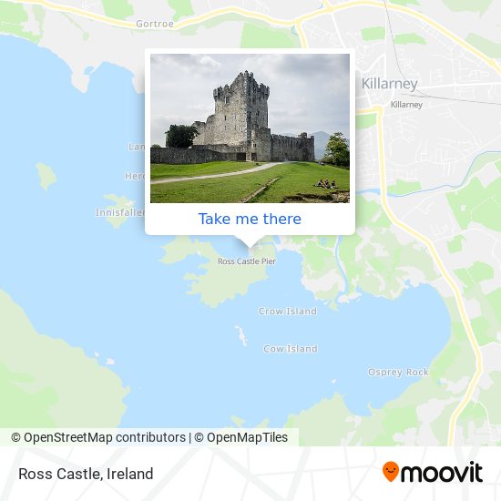 Ross Castle plan