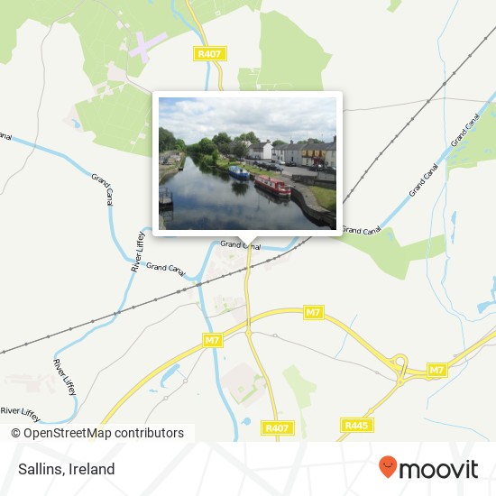 Sallins plan