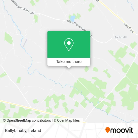 Ballybinaby map
