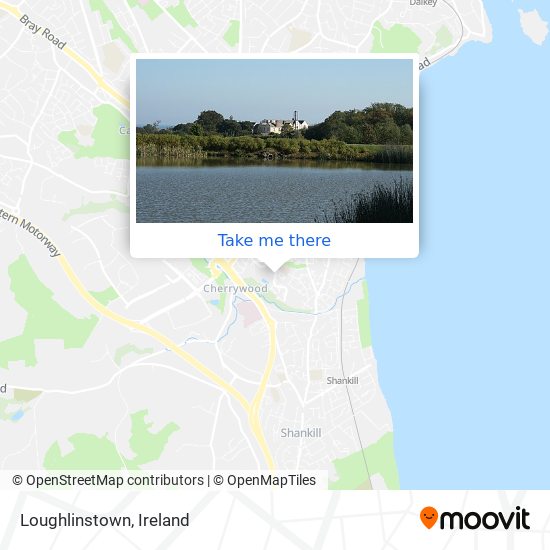Loughlinstown map