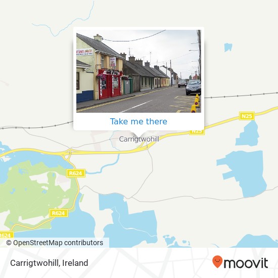 Carrigtwohill map