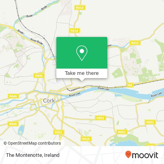 The Montenotte plan