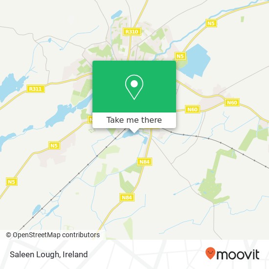 Saleen Lough map