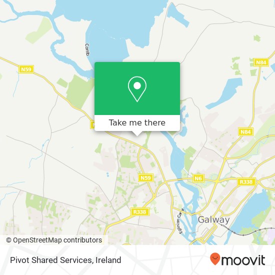 Pivot Shared Services map