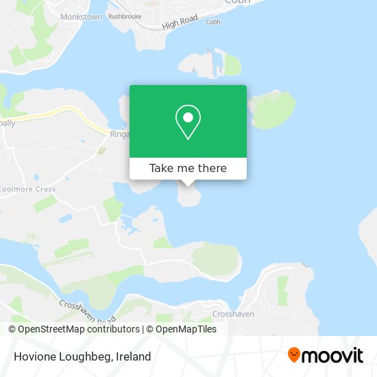 Hovione Loughbeg map