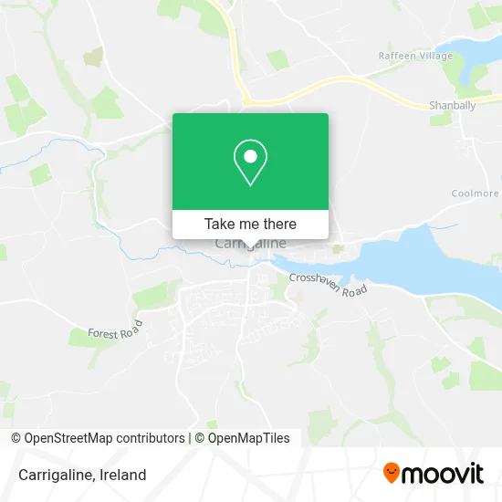 Carrigaline map