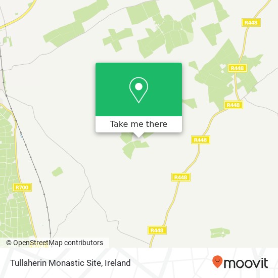 Tullaherin Monastic Site map