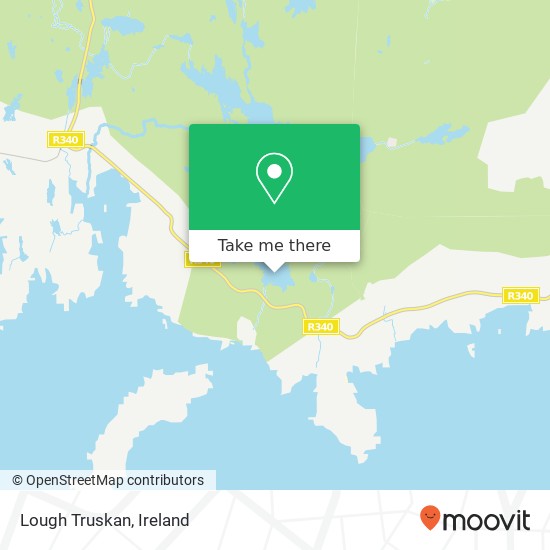 Lough Truskan map