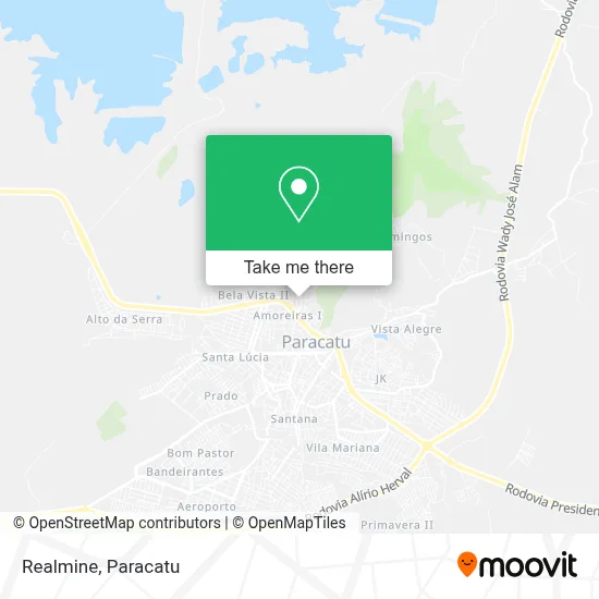 Realmine map