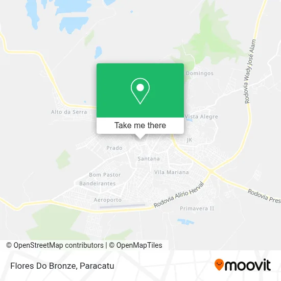 Flores Do Bronze map