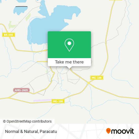 Normal & Natural map