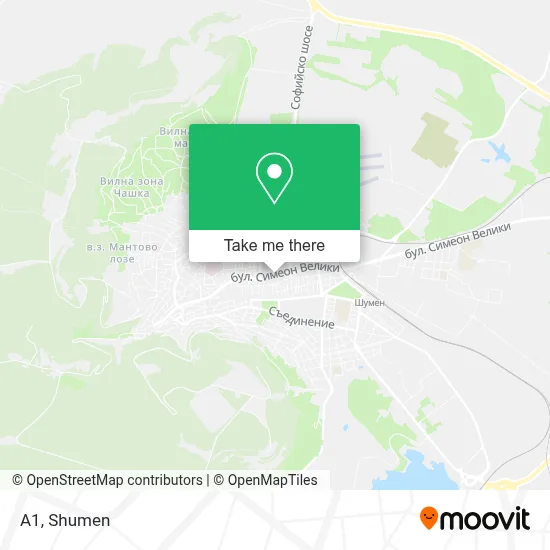 A1 map
