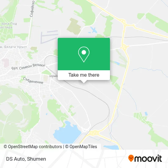 DS Auto map