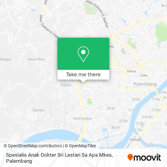 Spesialis Anak Dokter Sri Lestari Sa Apa Mkes map