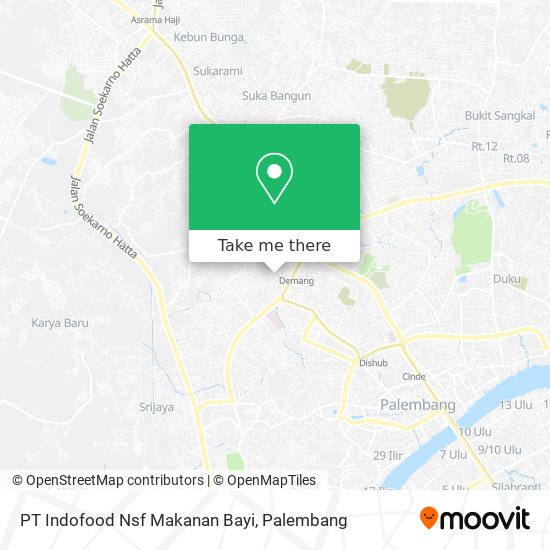 PT Indofood Nsf Makanan Bayi map