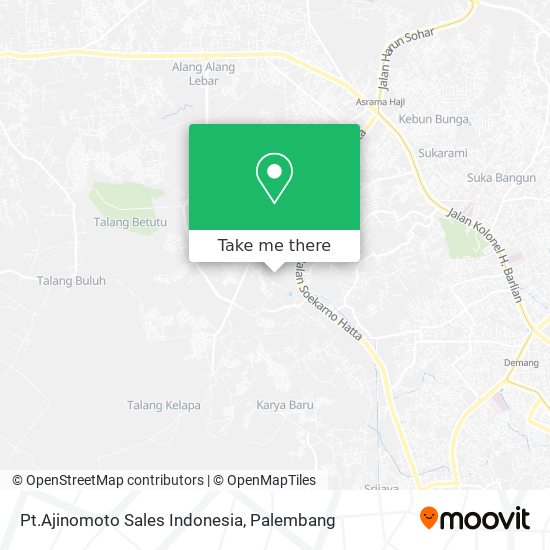 Pt.Ajinomoto Sales Indonesia map