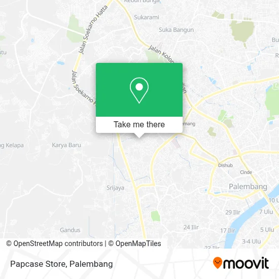 Papcase Store map