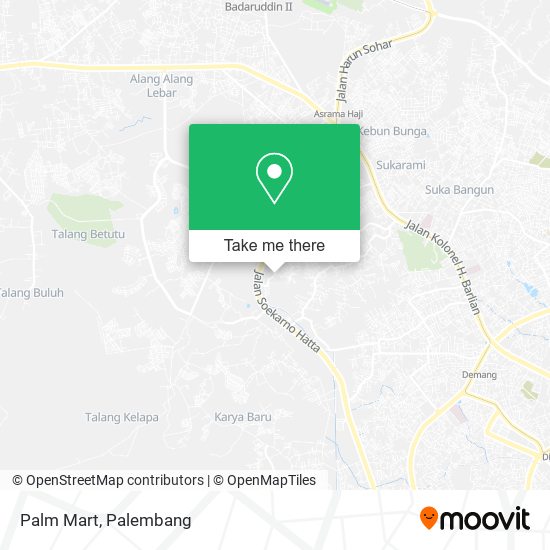 Palm Mart map