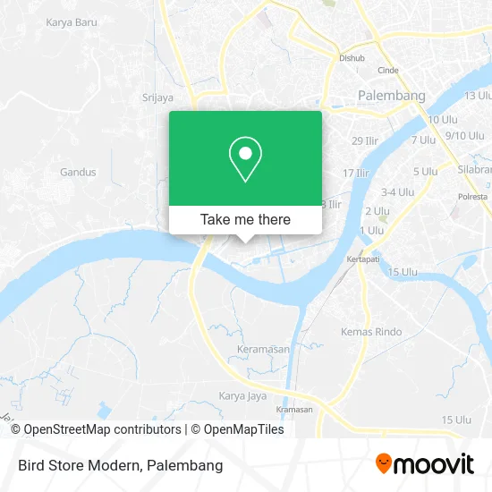 Bird Store Modern map