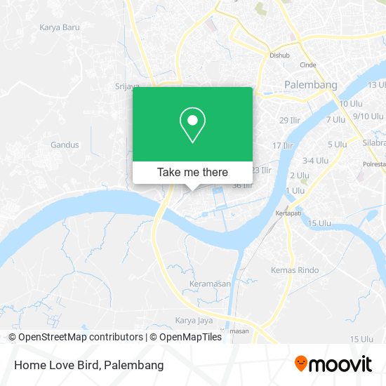 Home Love Bird map