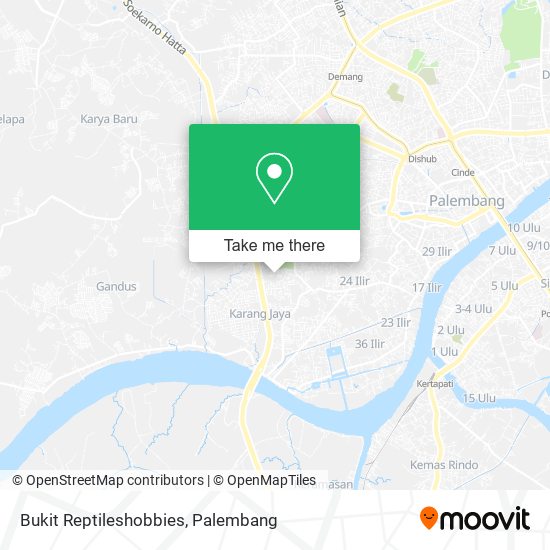 Bukit Reptileshobbies map
