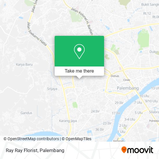 Ray Ray Florist map