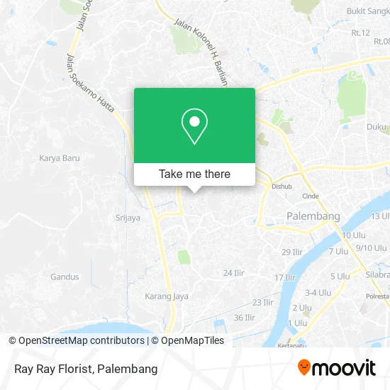 Ray Ray Florist map