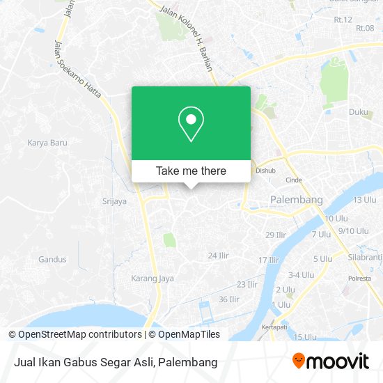 Jual Ikan Gabus Segar Asli map