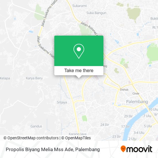 Propolis Biyang Melia Mss Ade map