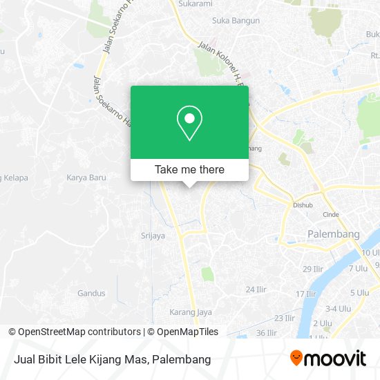Jual Bibit Lele Kijang Mas map